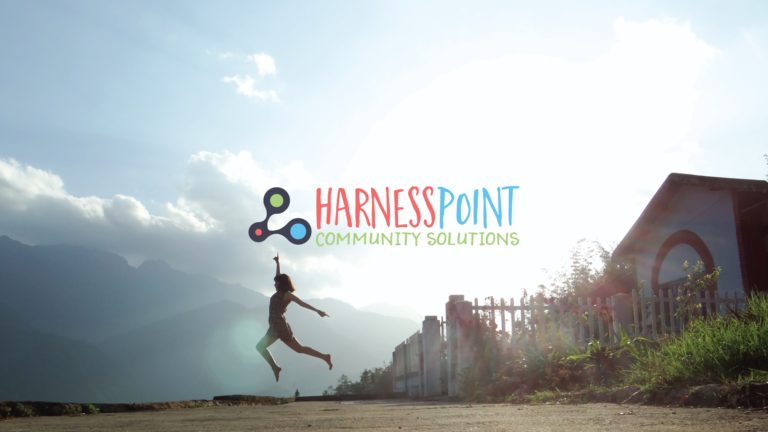 Harness Point, work sample 4.