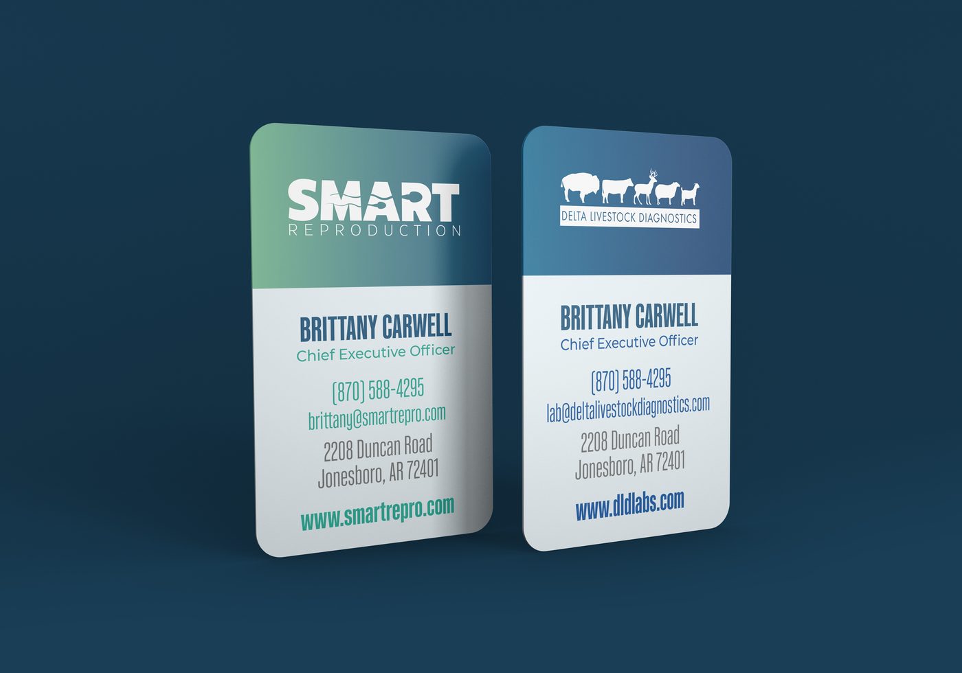 SMART Reproduction, work sample 3.