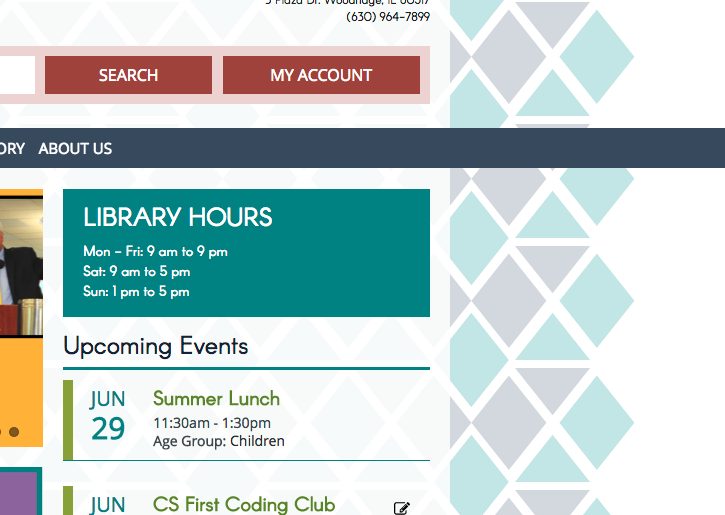 Woodridge Public Library, work sample 2.