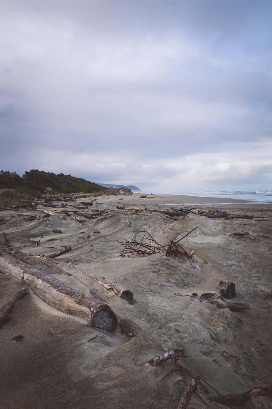 Driftwood On A Sandy Beach.