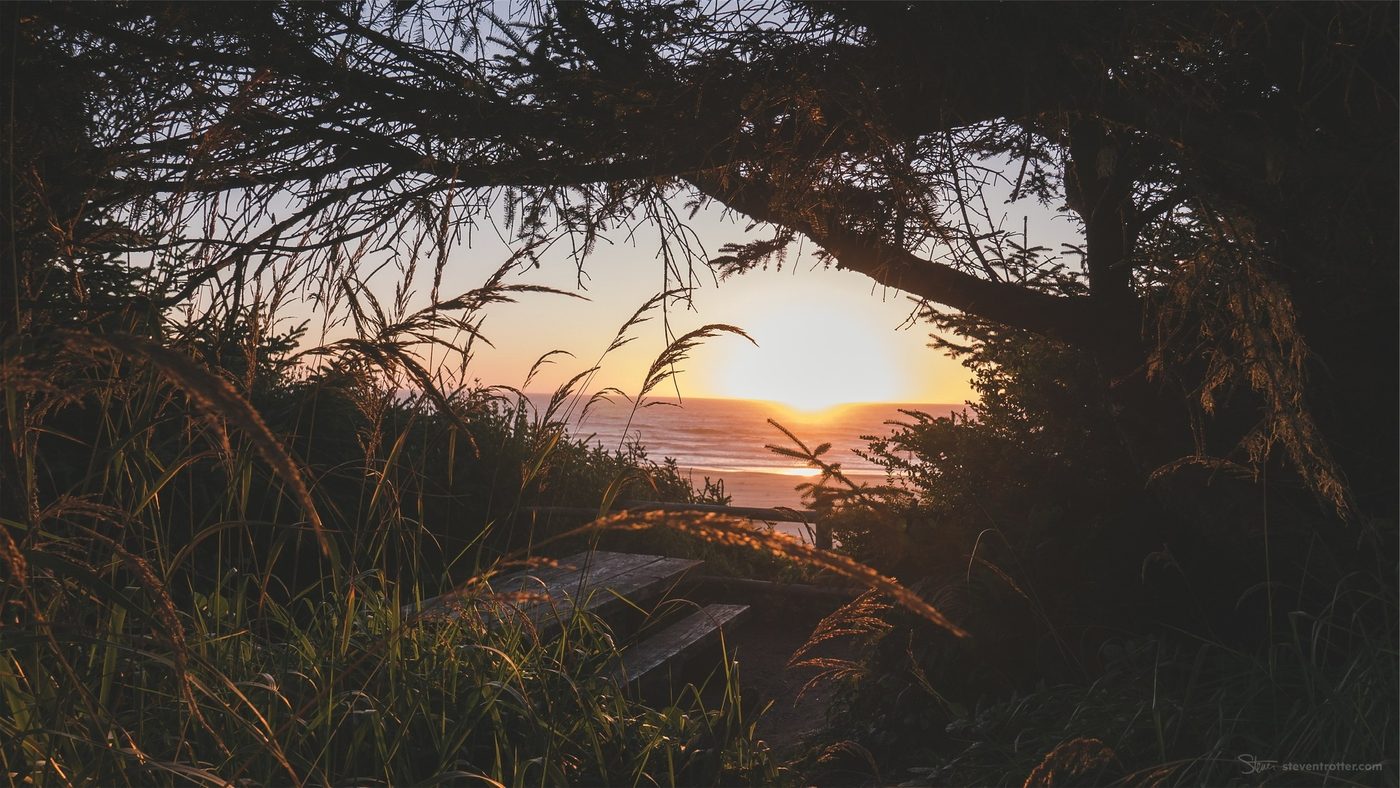 Sunset Through Trees.
