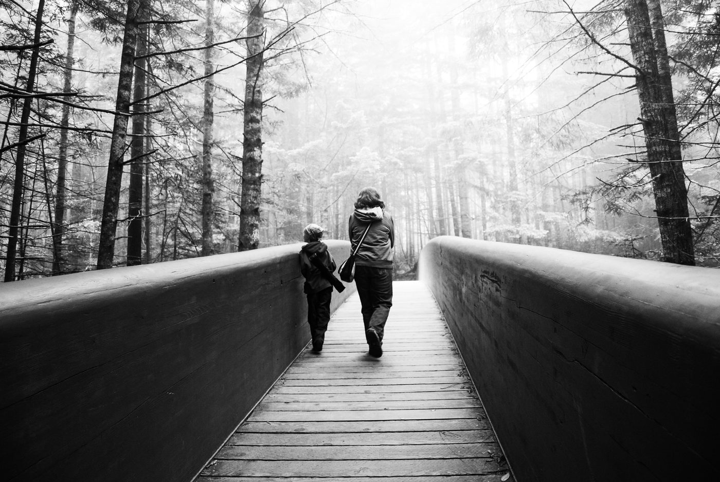 Walking Through Forest Bridge.